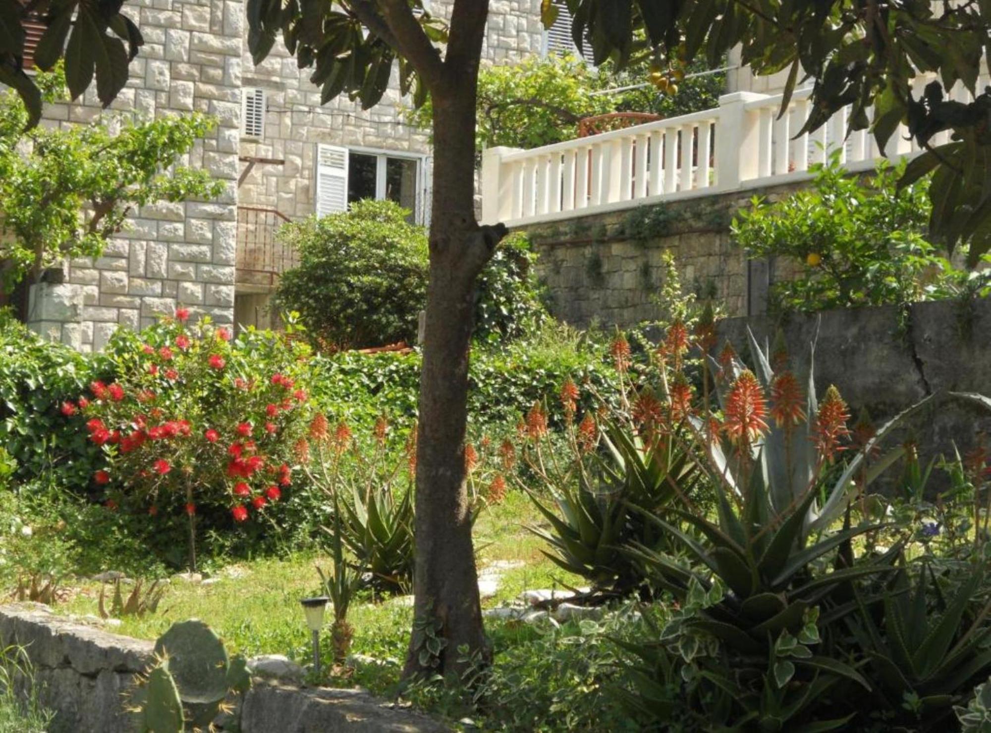 Apartment Plaza Κόρτσουλα Εξωτερικό φωτογραφία